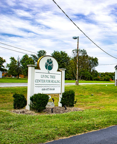 Living Tree Center for Healing